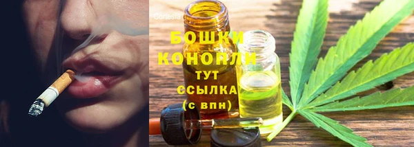 шишки Алзамай