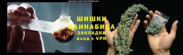 шишки Алзамай