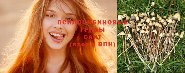 кокаин премиум Алексин