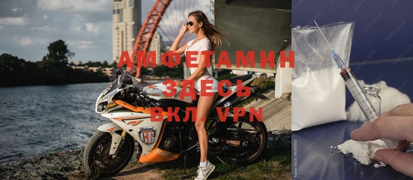 шишки Алзамай