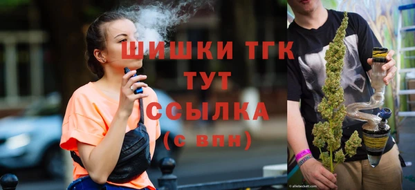 шишки Алзамай